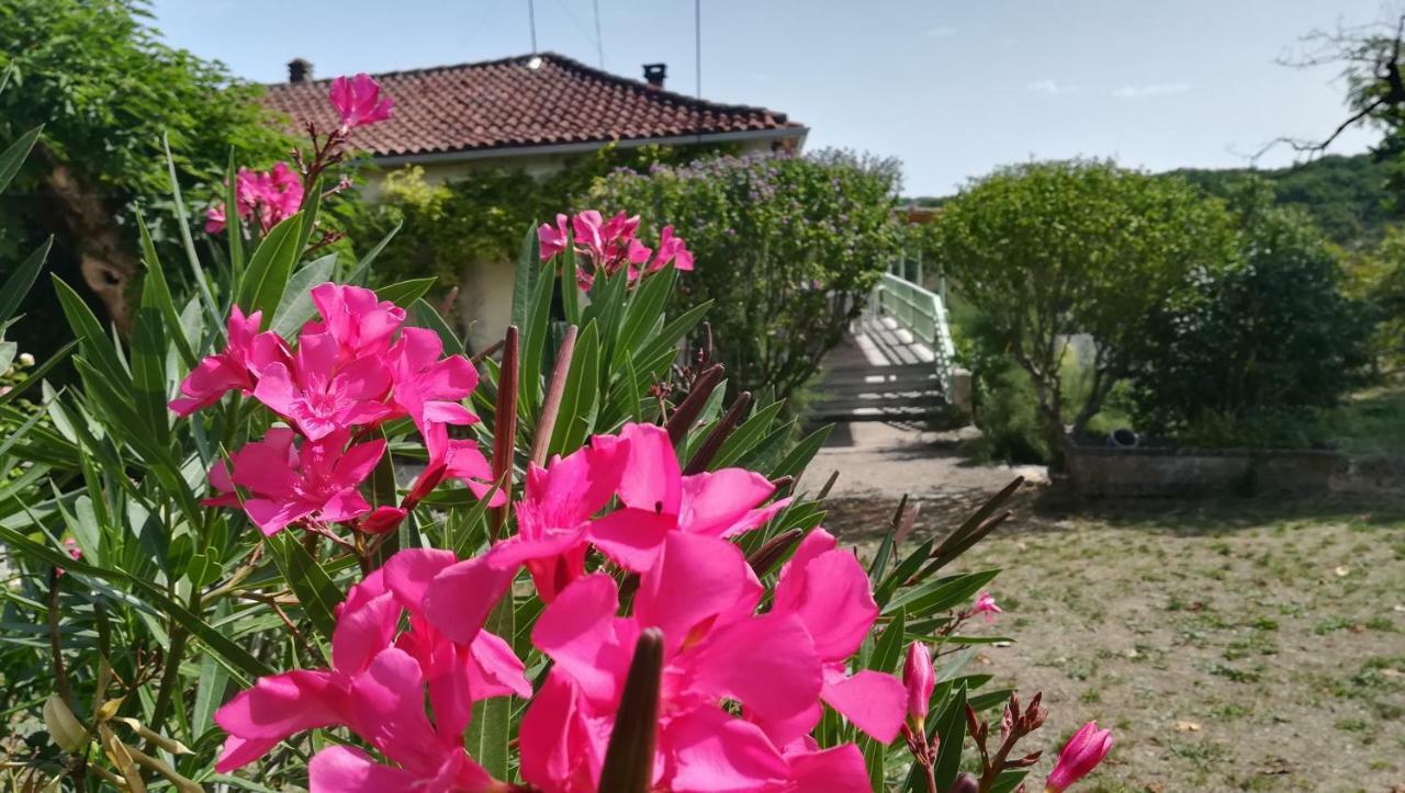 Fargues  Le Mas Des Papillons מראה חיצוני תמונה